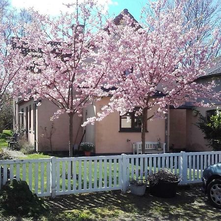 Pegasus Bed And Breakfast Helsinge Exterior foto