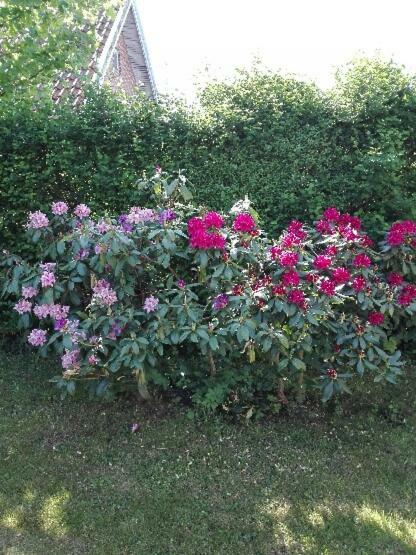 Pegasus Bed And Breakfast Helsinge Exterior foto
